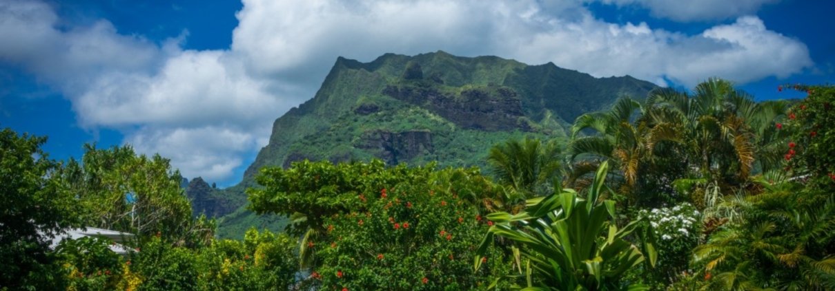Nelle aree ad alta produttività, come gli ecosistemi tropicali e temperati, l’efficienza d’uso del carbonio da parte dei microbi si sgancia dal tasso di respirazione una volta che quest’ultimo supera una soglia critica. Foto: pxhere CC0 1.0 Universal CC0 1.0 Deed