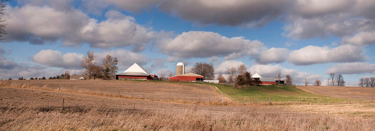 Still largely unknown, soil microbiome include more than half of all existing species, including nematodes, plants, fungi, bacteria, archaea, and other microbial species. Photo: Carol M. Highsmith Attribution-ShareAlike 4.0 International CC BY-SA 4.0 Deed