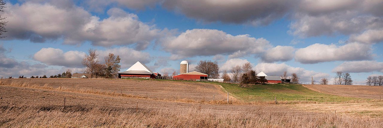 Still largely unknown, soil microbiome include more than half of all existing species, including nematodes, plants, fungi, bacteria, archaea, and other microbial species. Photo: Carol M. Highsmith Attribution-ShareAlike 4.0 International CC BY-SA 4.0 Deed