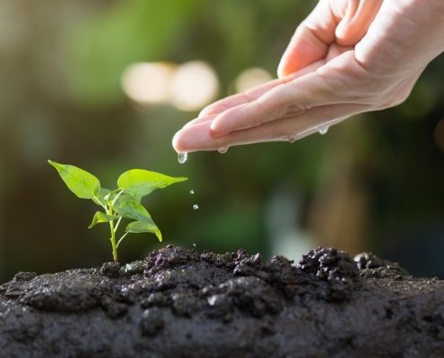 Per contrastare il trend che potrebbe portare il 90% dei suoli a essere degradati entro il 2050, serve un approccio integrato che unisca tecnologie, conoscenza scientifica.