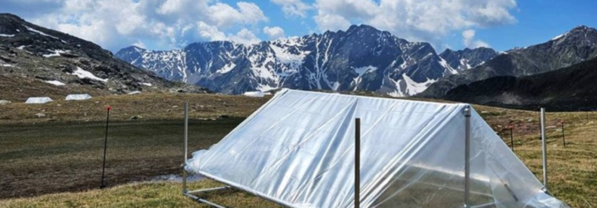 Uno dei sei siti sperimentali del progetto EcoMEMO. FONTE: Università di Bologna