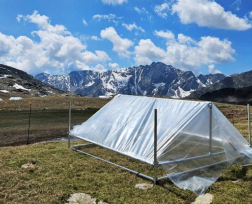 Uno dei sei siti sperimentali del progetto EcoMEMO. FONTE: Università di Bologna