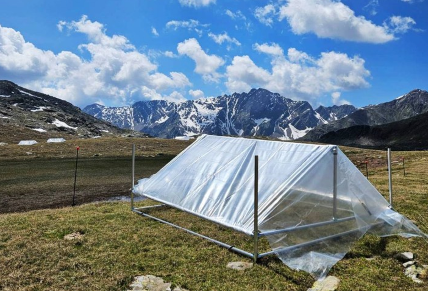 Siccità, la memoria dei microbi aiuta la resilienza del suolo