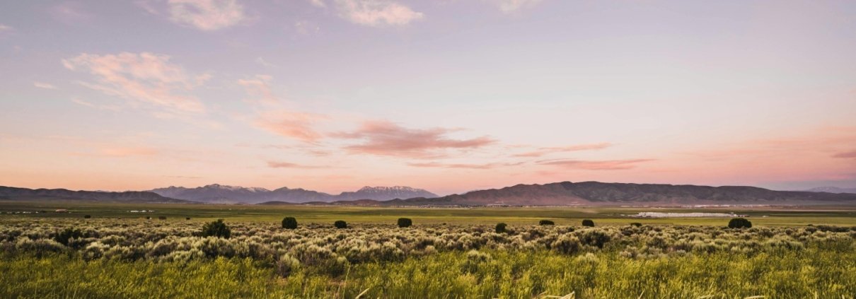 Il riscaldamento globale non cambia solo il paesaggio visibile ma altera profondamente le relazioni invisibili tra piante e funghi nel suolo. Foto: Pexels Free to use