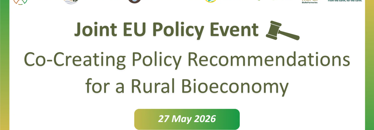 Il 27 maggio a Bruxelles l’incontro tra i promotori di sette iniziative UE per individuare opportunità e raccomandazioni operative per lo sviluppo della bioeconomia rurale. Immagine: BBioNets consortium Attribution-NonCommercial 4.0 International CC BY-NC 4.0 Deed