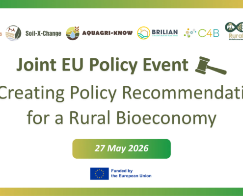 Il 27 maggio a Bruxelles l’incontro tra i promotori di sette iniziative UE per individuare opportunità e raccomandazioni operative per lo sviluppo della bioeconomia rurale. Immagine: BBioNets consortium Attribution-NonCommercial 4.0 International CC BY-NC 4.0 Deed