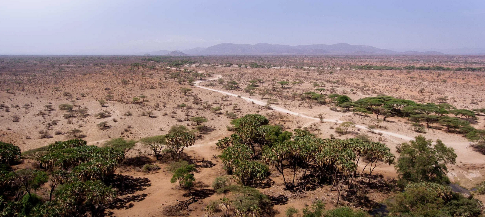 Una delle aree coinvolte nel Northern Kenya Rangelands Carbon Project. FONTE: Northern Rangelands Trust