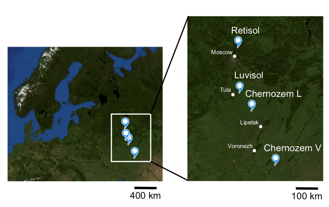 Area di studio e siti di campionamento. FOTO: Zavarzina et al., Forests (2026)