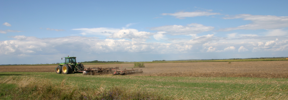 Vaste aree della Grande Pianura ungherese sono sempre più soggette a processi di aridificazione. FOTO: GaborLajos via Wikipedia