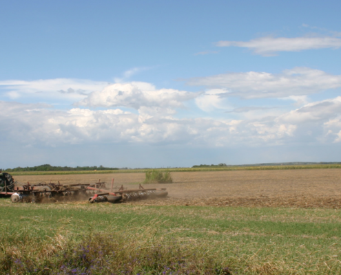 Vaste aree della Grande Pianura ungherese sono sempre più soggette a processi di aridificazione. FOTO: GaborLajos via Wikipedia