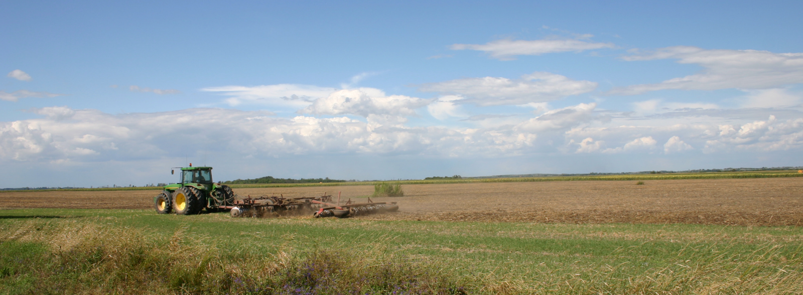 Vaste aree della Grande Pianura ungherese sono sempre più soggette a processi di aridificazione. FOTO: GaborLajos via Wikipedia