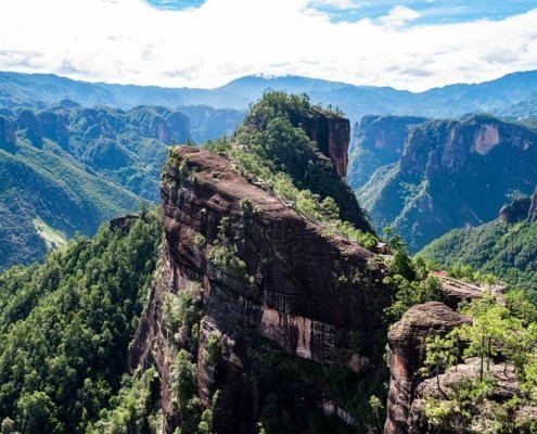 The study, conducted in the forests of Yunnan Province, demonstrated how altitude-driven environmental changes shape the genetic potential for phosphorus mineralization in the soil. At the same time, soil pH acts as a constant filter, limiting the microbial community capable of performing this vital function across different landscapes. Photo: Rod Waddington Attribution-ShareAlike 2.0 Generic CC BY-SA 2.0 Deed