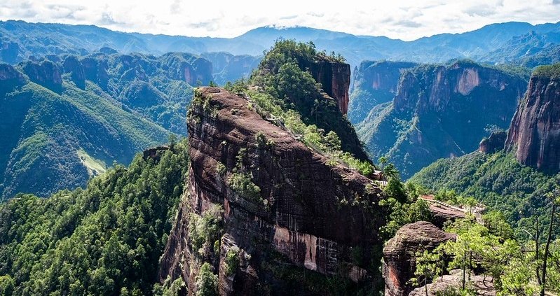 The study, conducted in the forests of Yunnan Province, demonstrated how altitude-driven environmental changes shape the genetic potential for phosphorus mineralization in the soil. At the same time, soil pH acts as a constant filter, limiting the microbial community capable of performing this vital function across different landscapes. Photo: Rod Waddington Attribution-ShareAlike 2.0 Generic CC BY-SA 2.0 Deed