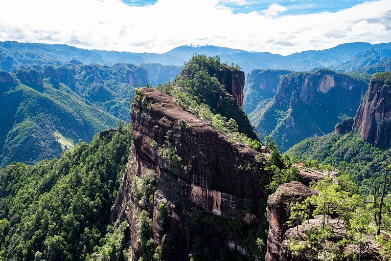 Lo studio, condotto nelle foreste della provincia di Yunnan, ha dimostrato come i cambiamenti ambientali determinati dall'altitudine modellino il potenziale genetico per la mineralizzazione del fosforo nel suolo. Contemporaneamente, il pH del terreno agisce come un filtro costante, limitando la comunità microbica in grado di svolgere questa funzione vitale in diversi paesaggi. Foto: Rod Waddington Attribution-ShareAlike 2.0 Generic CC BY-SA 2.0 Deed