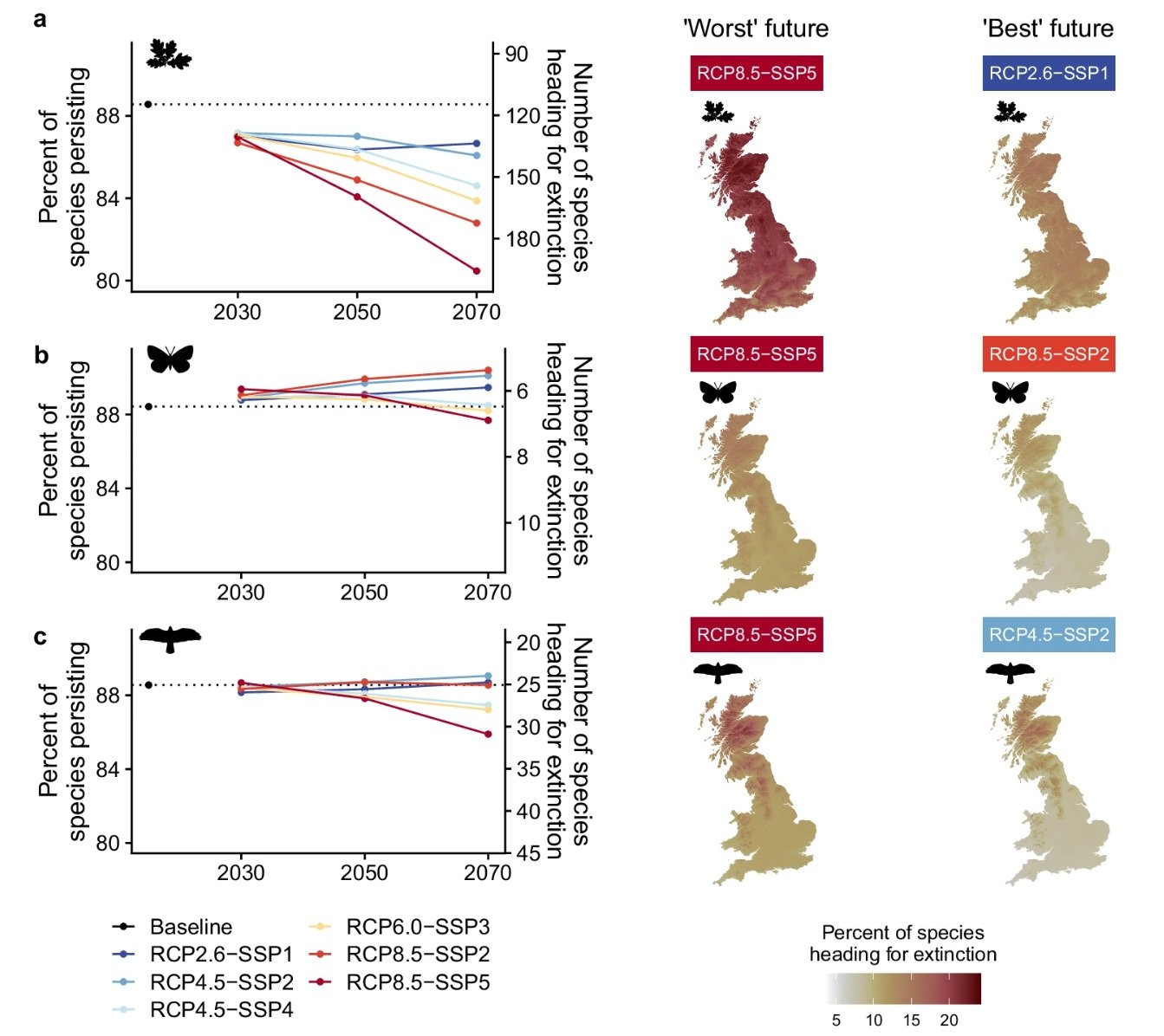 Nello scenario peggiore entro il 2070 molte aree del Paese perderebbero fino al 20% delle loro specie locali esistenti. Immagine: Cooke, R., Burton, V.J., Brown, C. et al. Future scenarios for British biodiversity under climate and land-use change. Nat Commun 17, 2704 (2026). https://doi.org/10.1038/s41467-026-70064-4