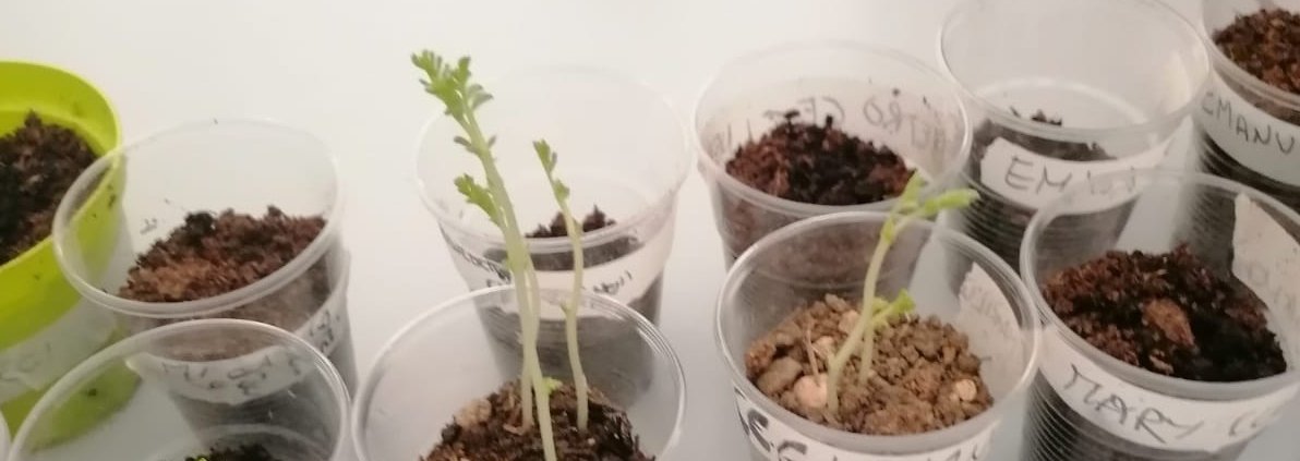 Promossa dall’azienda agricola marchigiana Il Lago nella Valle in collaborazione con Coldiretti, l’iniziativa, intitolata "Coltiviamo la scuola – Oltre la soglia. Un orto per conoscere”, coinvolge circa cinquanta studenti della scuola secondaria di primo grado Dante Alighieri di Monte San Vito, in provincia di Ancona. Foto: Il Lago nella Valle