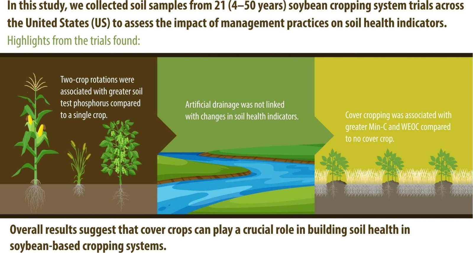 Una coltivazione temporanea di soia su un campo di segale nella contea di Dallas, in Texas. Negli USA l’estensione delle colture di copertura ha superato negli ultimi anni i 7 milioni di ettari con un incremento del 17% in appena un quinquennio. Tatiane Severo Silva et al., "Impacts of rotation, tillage, cover cropping, and drainage on soil health in soybean-based cropping systems: Evidence from 4–50-year trials across the US", Agriculture, Ecosystems &amp; Environment, <a href="https://www.sciencedirect.com/science/article/pii/S0167880925004827" target="_blank" rel="noopener">Volume 395, 2026</a>, 109950, ISSN 0167-8809, https://doi.org/10.1016/j.agee.2025.109950 Attribution 4.0 International CC BY 4.0 Deed