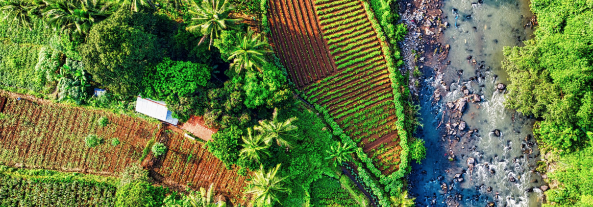 L'agroecologia rappresenta un rimedio alla vulnerabilità sistemica causata dalla dipendenza dell'agricoltura mondiale dai fertilizzanti sintetici. FOTO: Agroecology Coalition
