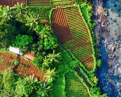 L'agroecologia rappresenta un rimedio alla vulnerabilità sistemica causata dalla dipendenza dell'agricoltura mondiale dai fertilizzanti sintetici. FOTO: Agroecology Coalition