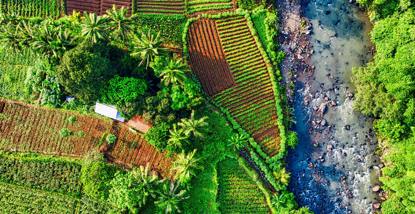 L'agroecologia rappresenta un rimedio alla vulnerabilità sistemica causata dalla dipendenza dell'agricoltura mondiale dai fertilizzanti sintetici. FOTO: Agroecology Coalition