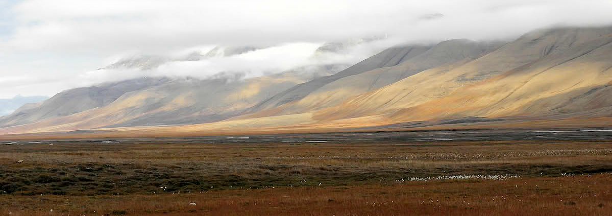 Isole Svalbard, Norvegia. I terreni del permafrost artico custodiscono enormi quantità di carbonio organico accumulato nel corso di migliaia di anni. Foto: Billy Lindblom Attribution 2.0 Generic CC BY 2.0 Deed