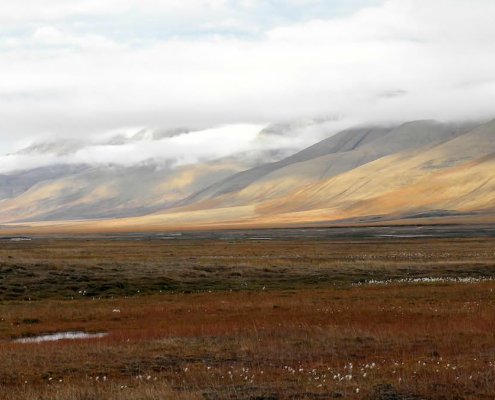 Isole Svalbard, Norvegia. I terreni del permafrost artico custodiscono enormi quantità di carbonio organico accumulato nel corso di migliaia di anni. Foto: Billy Lindblom Attribution 2.0 Generic CC BY 2.0 Deed