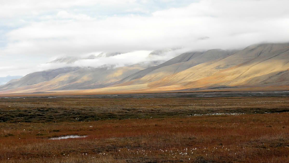 Isole Svalbard, Norvegia. I terreni del permafrost artico custodiscono enormi quantità di carbonio organico accumulato nel corso di migliaia di anni. Foto: Billy Lindblom Attribution 2.0 Generic CC BY 2.0 Deed
