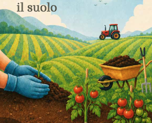 Cover manuale "Buone pratiche che curano il suolo"