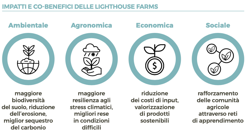 Benefici Lighthouse farms