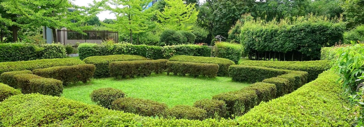 For many cities, green spaces are seen as vital infrastructure that supports healthier and more livable communities. Photo: Daderot CC0 1.0 Universal CC0 1.0 Deed