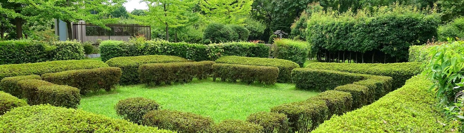In molte città il verde urbano non è più visto come semplice elemento decorativo quanto piuttosto come una vera e propria infrastruttura ambientale capace di influenzare la salute, il benessere e la sicurezza dei cittadini. Foto: Daderot CC0 1.0 Universal CC0 1.0 Deed