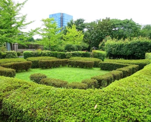 In molte città il verde urbano non è più visto come semplice elemento decorativo quanto piuttosto come una vera e propria infrastruttura ambientale capace di influenzare la salute, il benessere e la sicurezza dei cittadini. Foto: Daderot CC0 1.0 Universal CC0 1.0 Deed