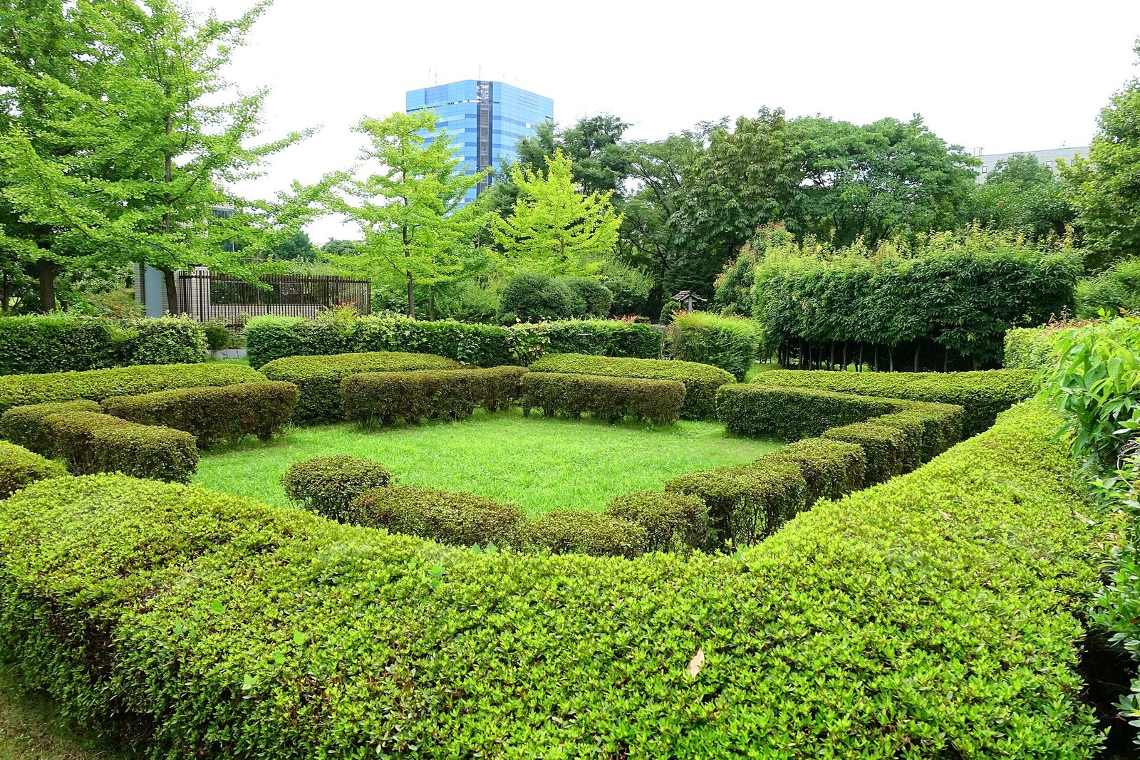 In molte città il verde urbano non è più visto come semplice elemento decorativo quanto piuttosto come una vera e propria infrastruttura ambientale capace di influenzare la salute, il benessere e la sicurezza dei cittadini. Foto: Daderot CC0 1.0 Universal CC0 1.0 Deed