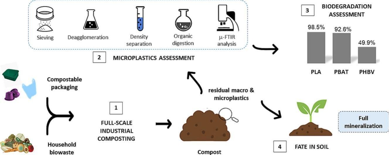 Sintesi grafica della ricerca sul comportamento dei microframmenti di bioplastiche compostabili nel suolo dopo compostaggio industriale. FONTE: heick Abou Coulibaly, Sandra Domenek, Paul Greuet, Matthieu George, Pascale Fabre, Rafael Auras, Emmanuelle Gastaldi,Residual biodegradable microplastics derived from compostable packaging under large-scale industrial composting fully degrade in soil, Bioresource Technology, 2026.