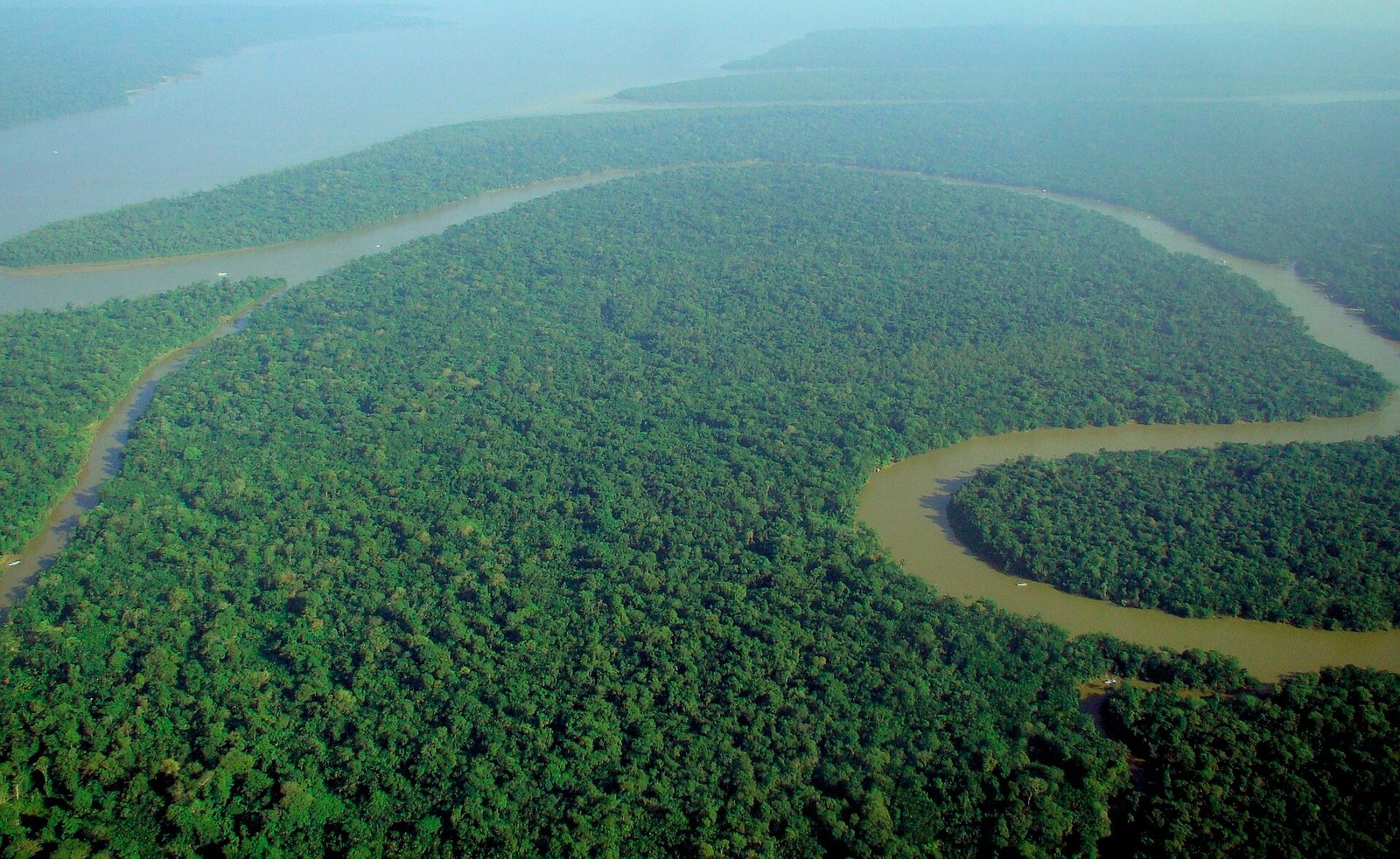 In Amazzonia le malattie seguono la trasformazione della foresta