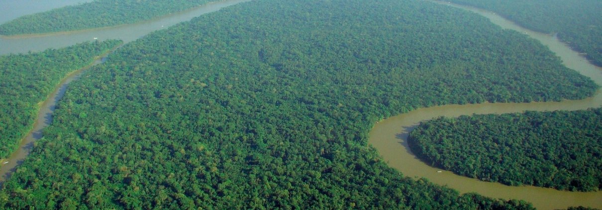 The Amazon is a mosaic of diverse environments. According to a new study, these differences also influence the distribution of insect-borne diseases. Photo: lubasi, Creative Commons Attribution-ShareAlike 2.0 (CC BY-SA 2.0)