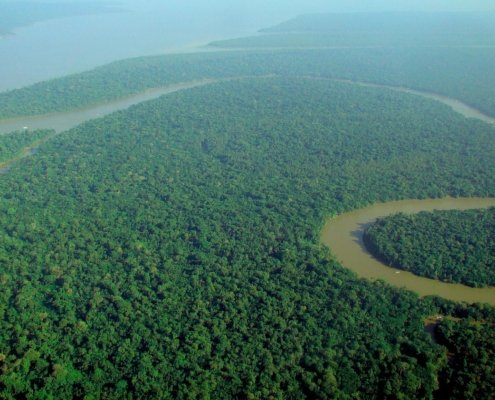 The Amazon is a mosaic of diverse environments. According to a new study, these differences also influence the distribution of insect-borne diseases. Photo: lubasi, Creative Commons Attribution-ShareAlike 2.0 (CC BY-SA 2.0)