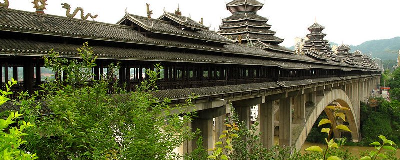 Un tratto forestale nella regione di Sanjiang nella provincia di Heilongjiang, una delle aree settentrionali coinvolte nel piano pluridecennale di protezione e ampliamento delle foreste in Cina. Foto: Rutger van der Maar Attribution 2.0 Generic CC BY 2.0 Deed