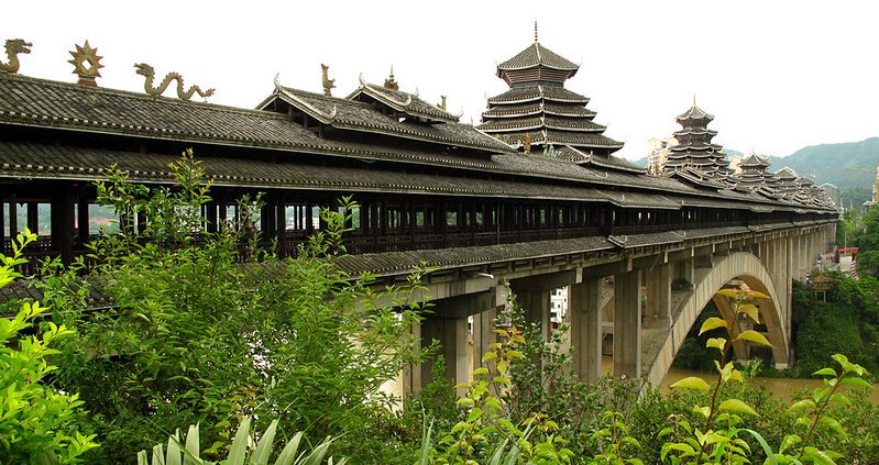 Un tratto forestale nella regione di Sanjiang nella provincia di Heilongjiang, una delle aree settentrionali coinvolte nel piano pluridecennale di protezione e ampliamento delle foreste in Cina. Foto: Rutger van der Maar Attribution 2.0 Generic CC BY 2.0 Deed