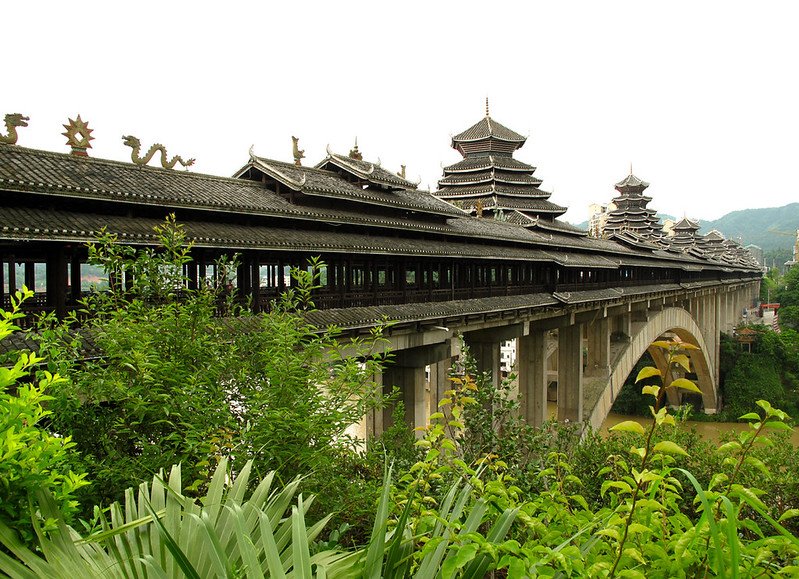 Un tratto forestale nella regione di Sanjiang nella provincia di Heilongjiang, una delle aree settentrionali coinvolte nel piano pluridecennale di protezione e ampliamento delle foreste in Cina. Foto: Rutger van der Maar Attribution 2.0 Generic CC BY 2.0 Deed