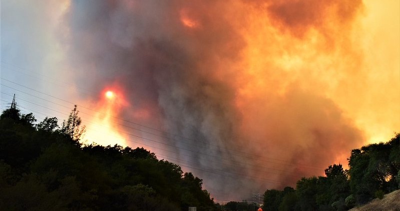 In the south-western United States, climate change and the build-up of plant matter are fuelling increasingly extreme wildfires. Photo: Eric Coulter, Public Domain Mark 1.0 Universal