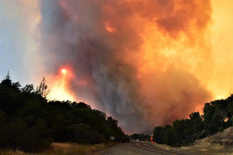 In the south-western United States, climate change and the build-up of plant matter are fuelling increasingly extreme wildfires. Photo: Eric Coulter, Public Domain Mark 1.0 Universal