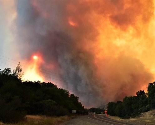 Negli USA sudoccidentali il cambiamento climatico e l'accumulo di combustibile vegetale favoriscono incendi sempre più estremi. Foto: Eric Coulter, Public Domain Mark 1.0 Universal