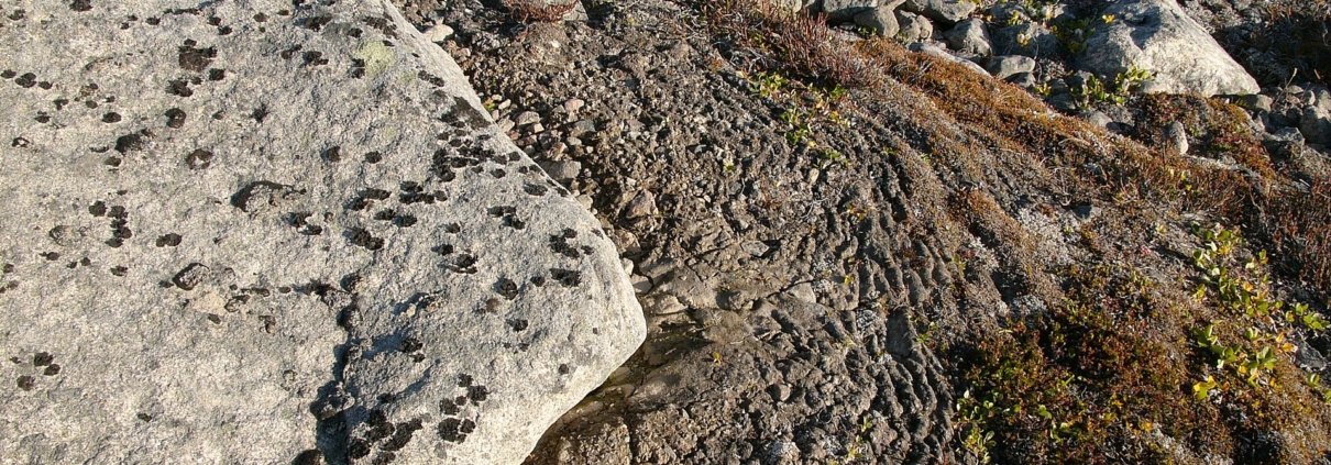Da decenni i geomorfologi cercano di capire come si formino spontaneamente le terrazze artiche, il risultato del lentissimo movimento del terreno superficiale prodotto dallo scongelamento del permafrost. Foto: Hannes Grobe Attribution-ShareAlike 2.5 Generic CC BY-SA 2.5 Deed