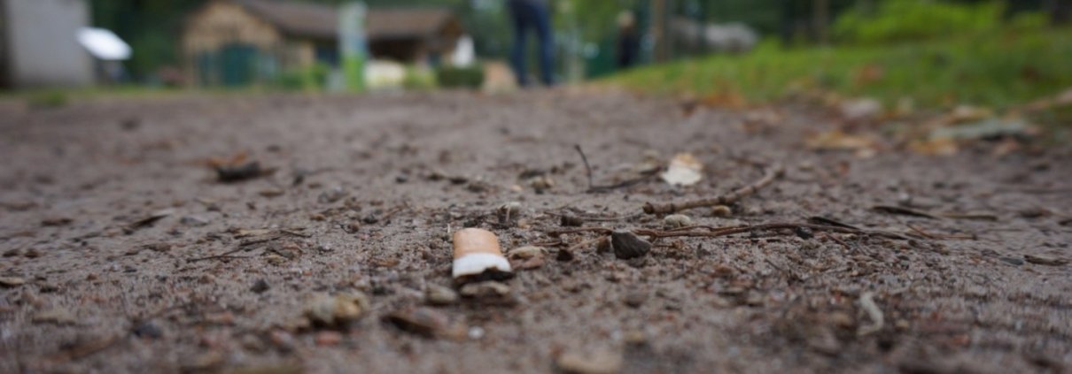Some viruses can help enhance the bioremediation of contaminated soil, which is one of the major global environmental challenges. Photo: pxhere CC0 Public Domain Free for personal and commercial use No attribution required