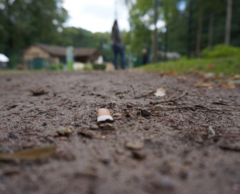 Some viruses can help enhance the bioremediation of contaminated soil, which is one of the major global environmental challenges. Photo: pxhere CC0 Public Domain Free for personal and commercial use No attribution required