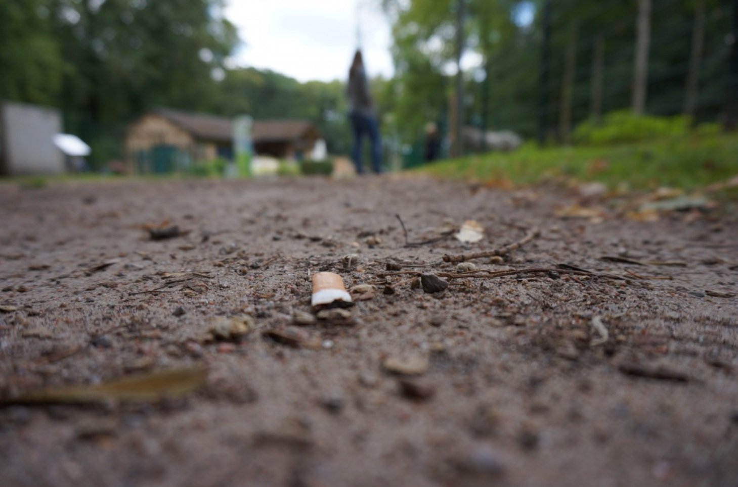 Some viruses can help enhance the bioremediation of contaminated soil, which is one of the major global environmental challenges. Photo: pxhere CC0 Public Domain Free for personal and commercial use No attribution required