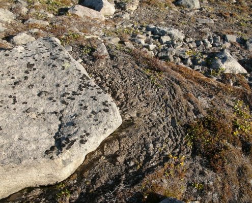 For decades, geomorphologists have been trying to understand how Arctic terraces form spontaneously, as a result of the extremely slow movement of surface ground caused by permafrost thawing. Photo: Hannes Grobe Attribution-ShareAlike 2.5 Generic CC BY-SA 2.5 Deed