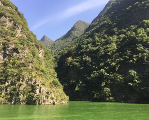 The study analyzed the response of forests in the Yangtze River Basin to the exceptional climate event of summer 2022. Photo: Tom Jarrett, Attribution-NonCommercial-ShareAlike 2.0 Generic (CC BY-NC-SA 2.0) Deed