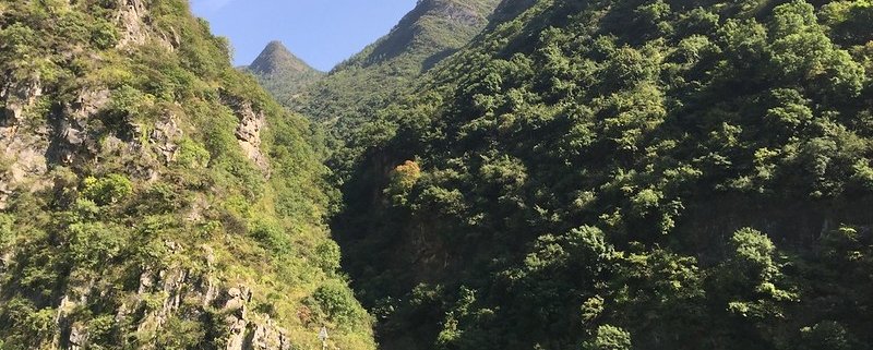 The study analyzed the response of forests in the Yangtze River Basin to the exceptional climate event of summer 2022. Photo: Tom Jarrett, Attribution-NonCommercial-ShareAlike 2.0 Generic (CC BY-NC-SA 2.0) Deed